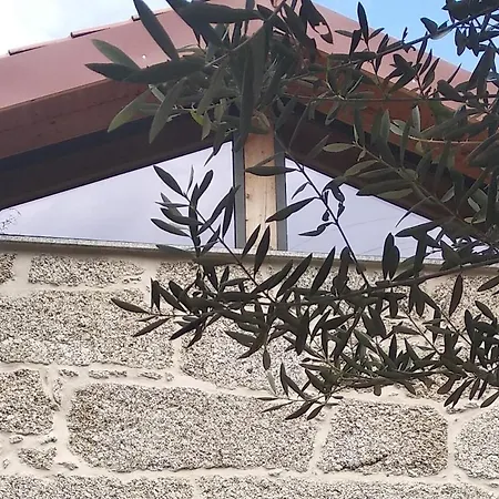 Casa Do Oitao * Виейра-ду-Минью